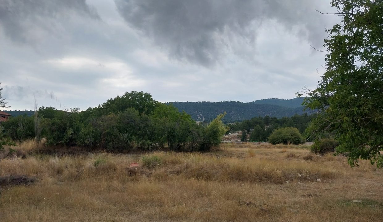 IMG-20241003-WA0019(1)